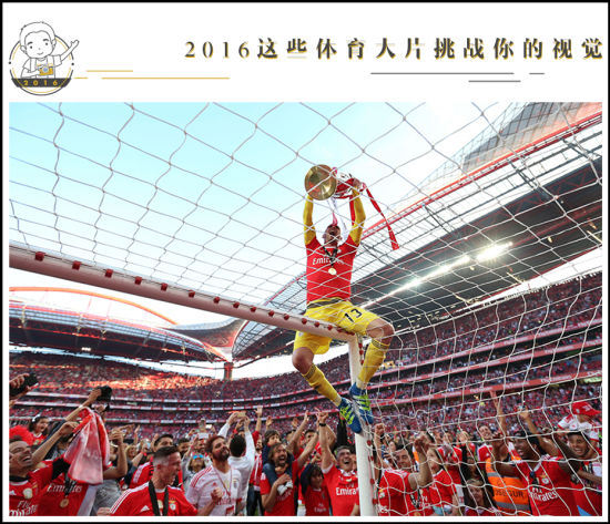 2016꣬ŷޱȻδɢ˻źֽ˶º˹裻񱼣ͷ޻ϵרעϲŭ֣һŶ˾˲Ƭչ¶š͸ǵӽǣļȡ ʱ2016515գ˹򳡣ƿ4-1ܹӣϳھƿŽޡ˹ź߾ٹھѺԹʤϲá