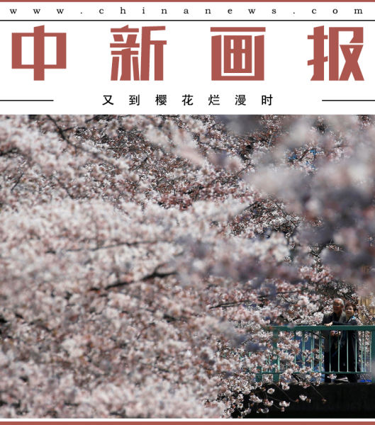 ˼죬ֵӣʱĵӣԼѣѰ̤ӣһʫͷ