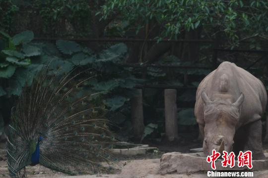 ȸϬţʾ ľ 